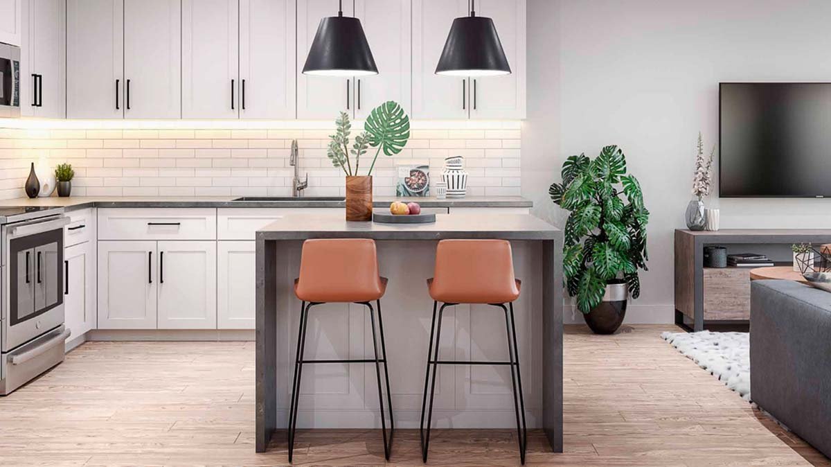 Collier Project interior render 2